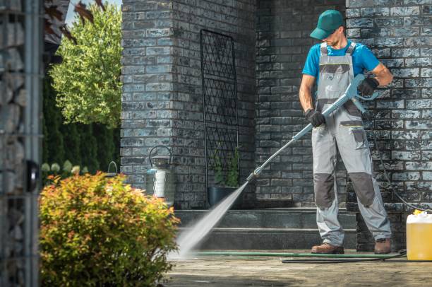 Best Solar Panel Cleaning  in Roselle, IL