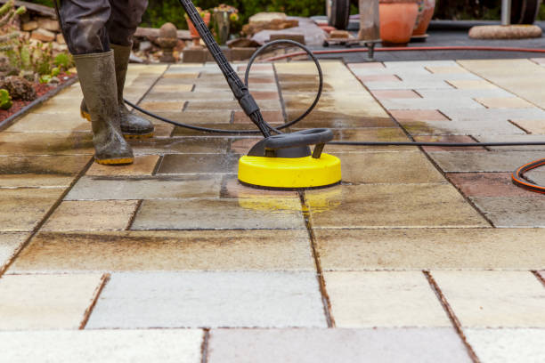 Best Dumpster Area Cleaning  in Roselle, IL