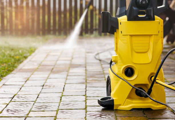 Best Spring Cleaning  in Roselle, IL